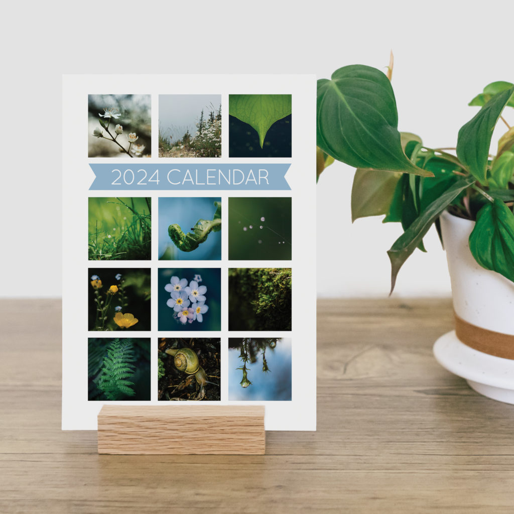 5x7 Desk Calendar on a desk next to a plant