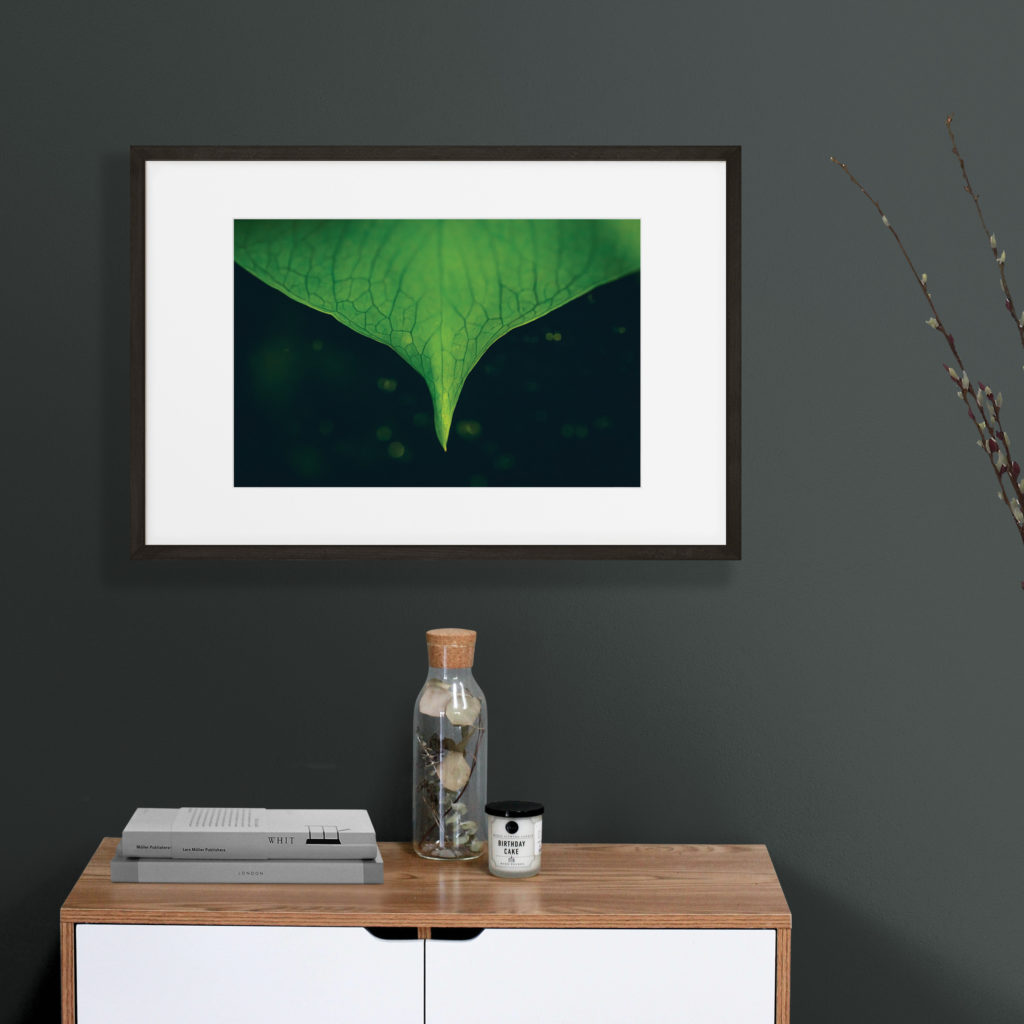 A framed photograph of a leaf hanging on a dark wall over a cabinet