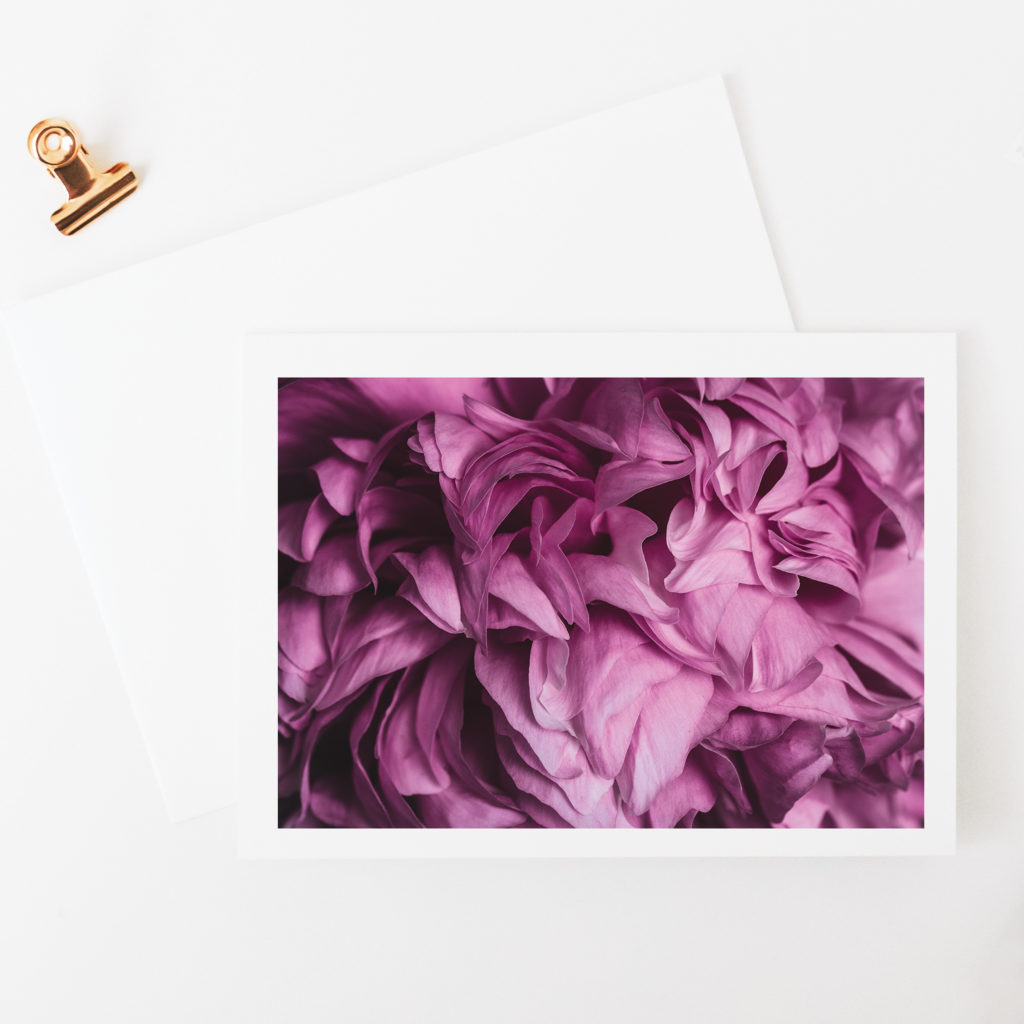Folded notecard with a photograph of pink peony petals on a white desk